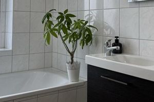 Alquiler Vacacional - Central apartment in Magdeburg with Netflix and kitchen WE18