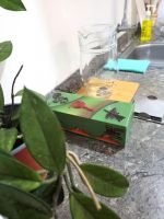 Alquiler Vacacional - Casa de PAULA Mini departamento Hab. Matrimonial