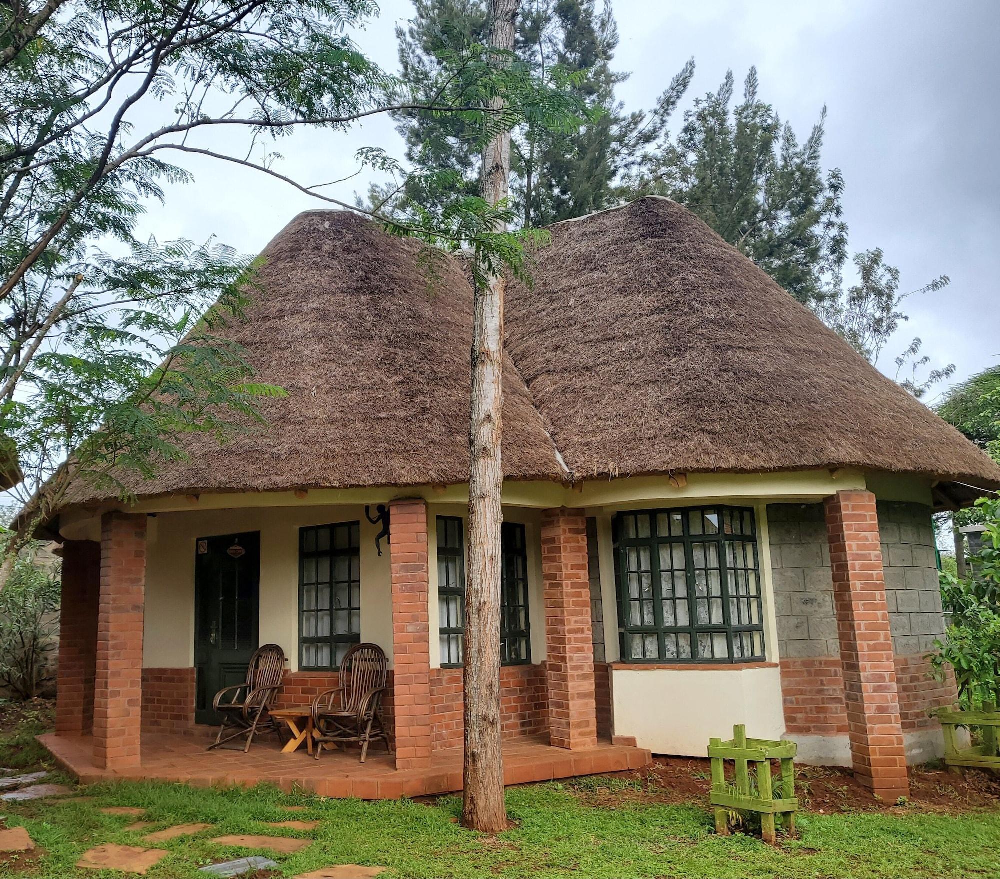Vista Exterior Edaala Comfort