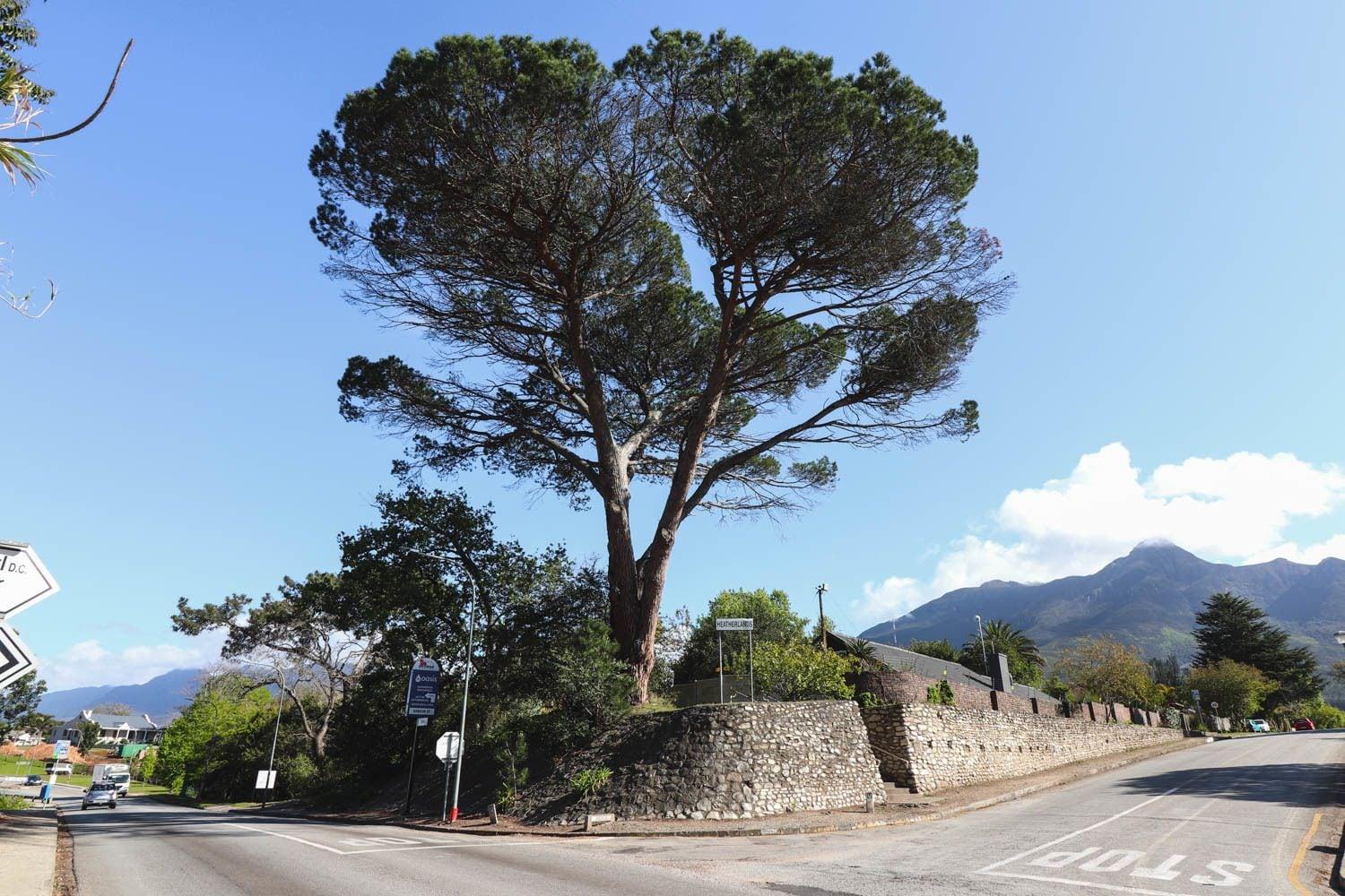 Vista Exterior Arbour1