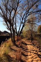 Alojamiento - Pullman Lijiang Resort and Spa
