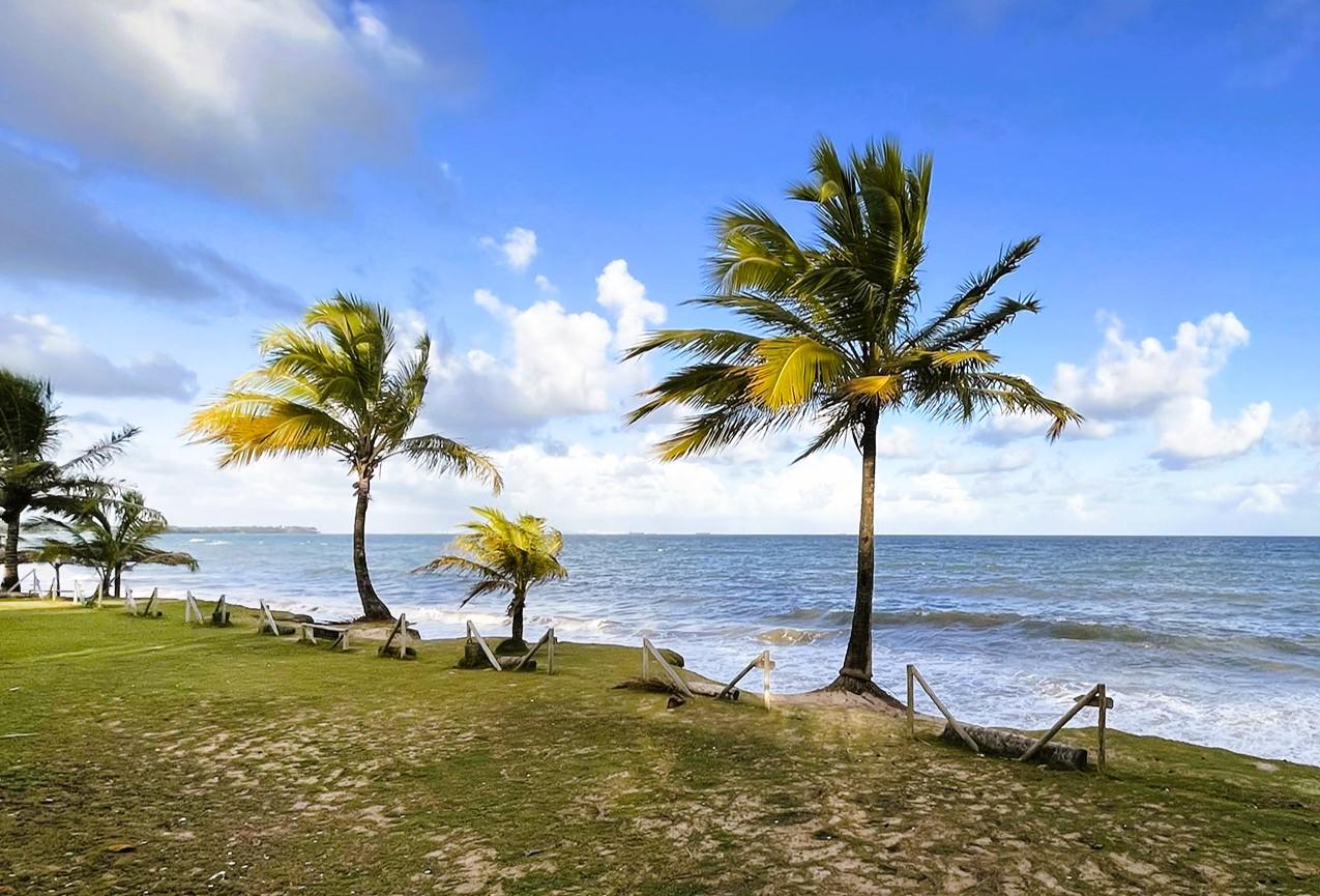 Playa Alma Tropical Resort