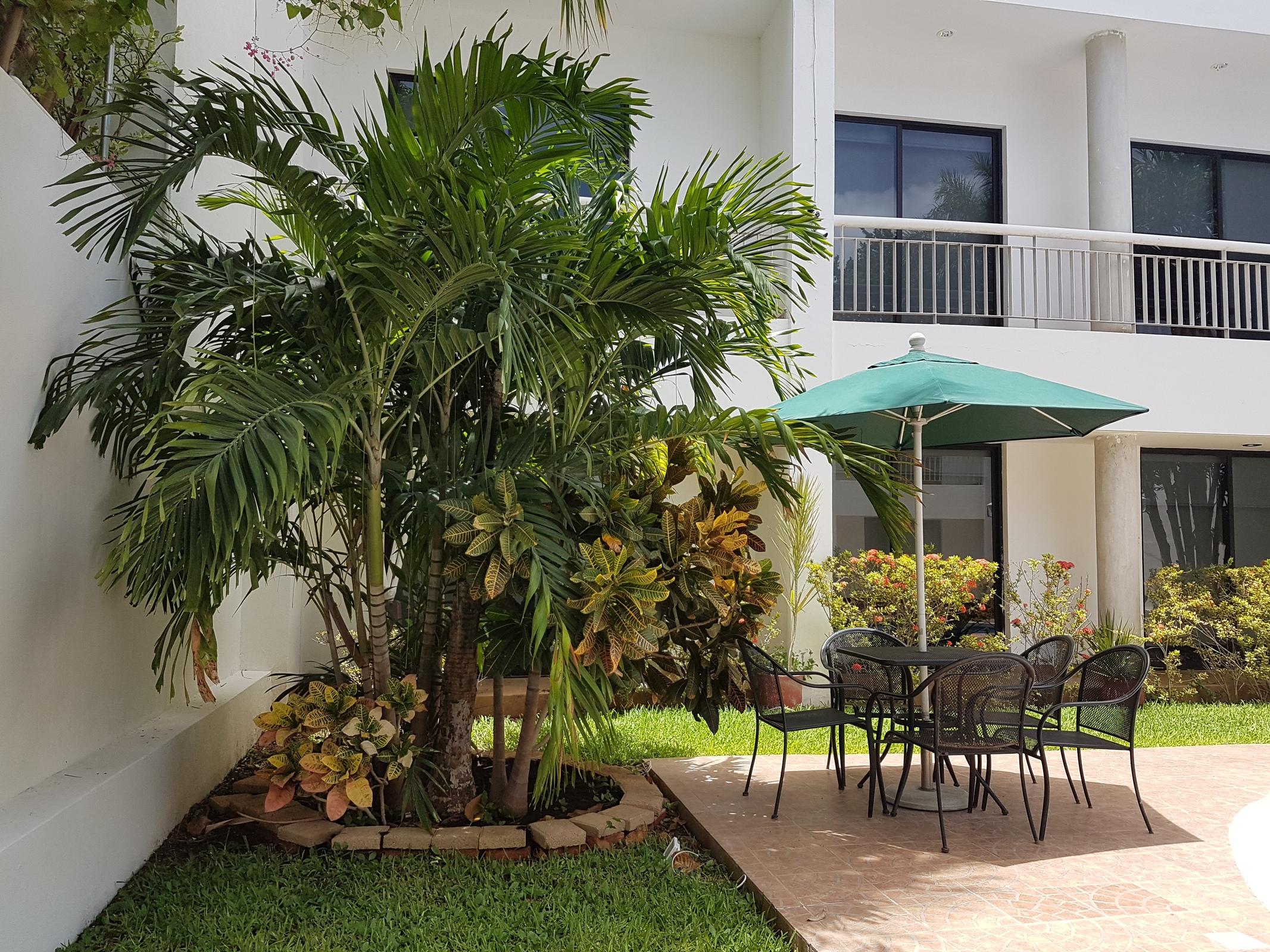 Vista Exterior Hotel Holly