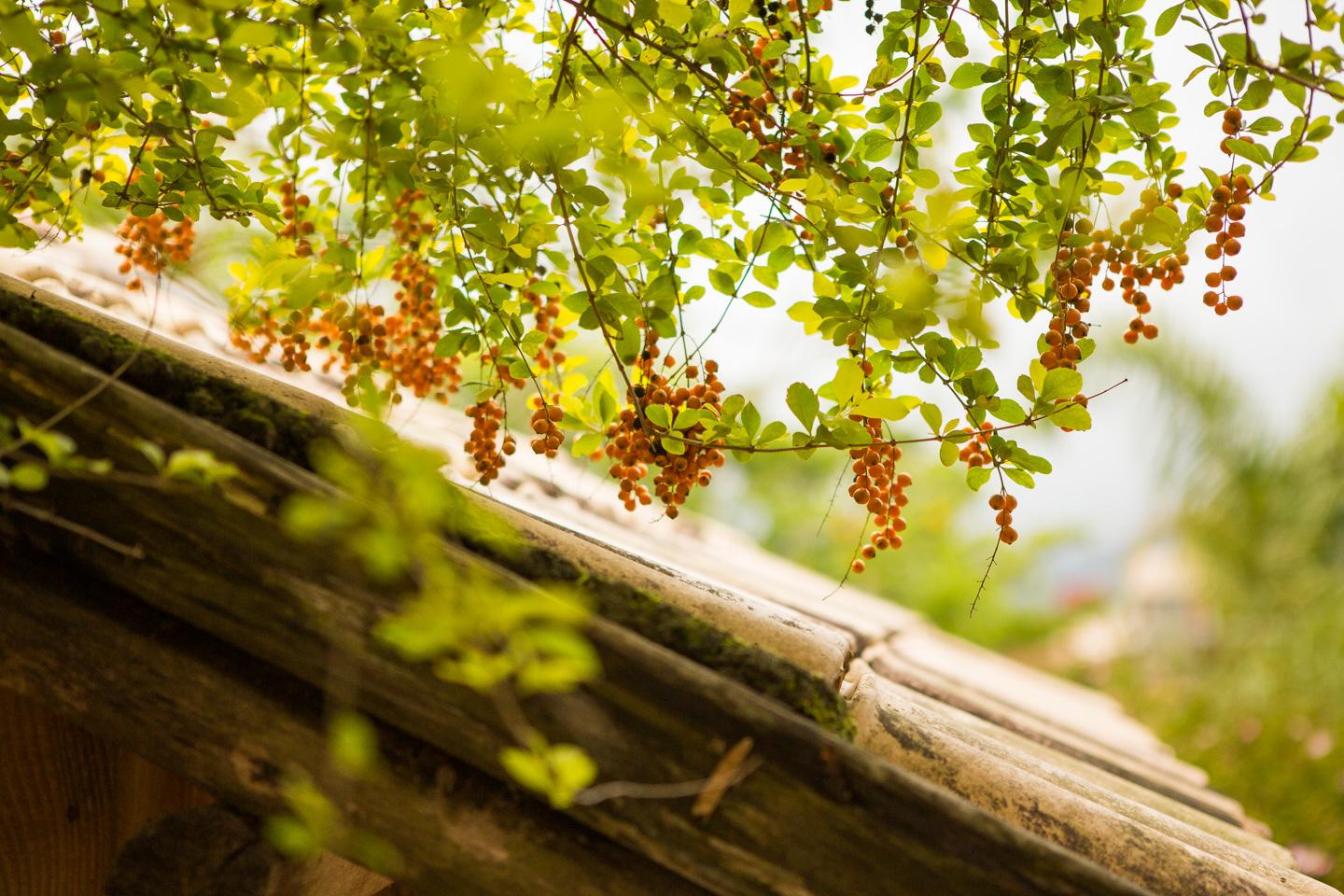 Varios Vila Moema Pousada