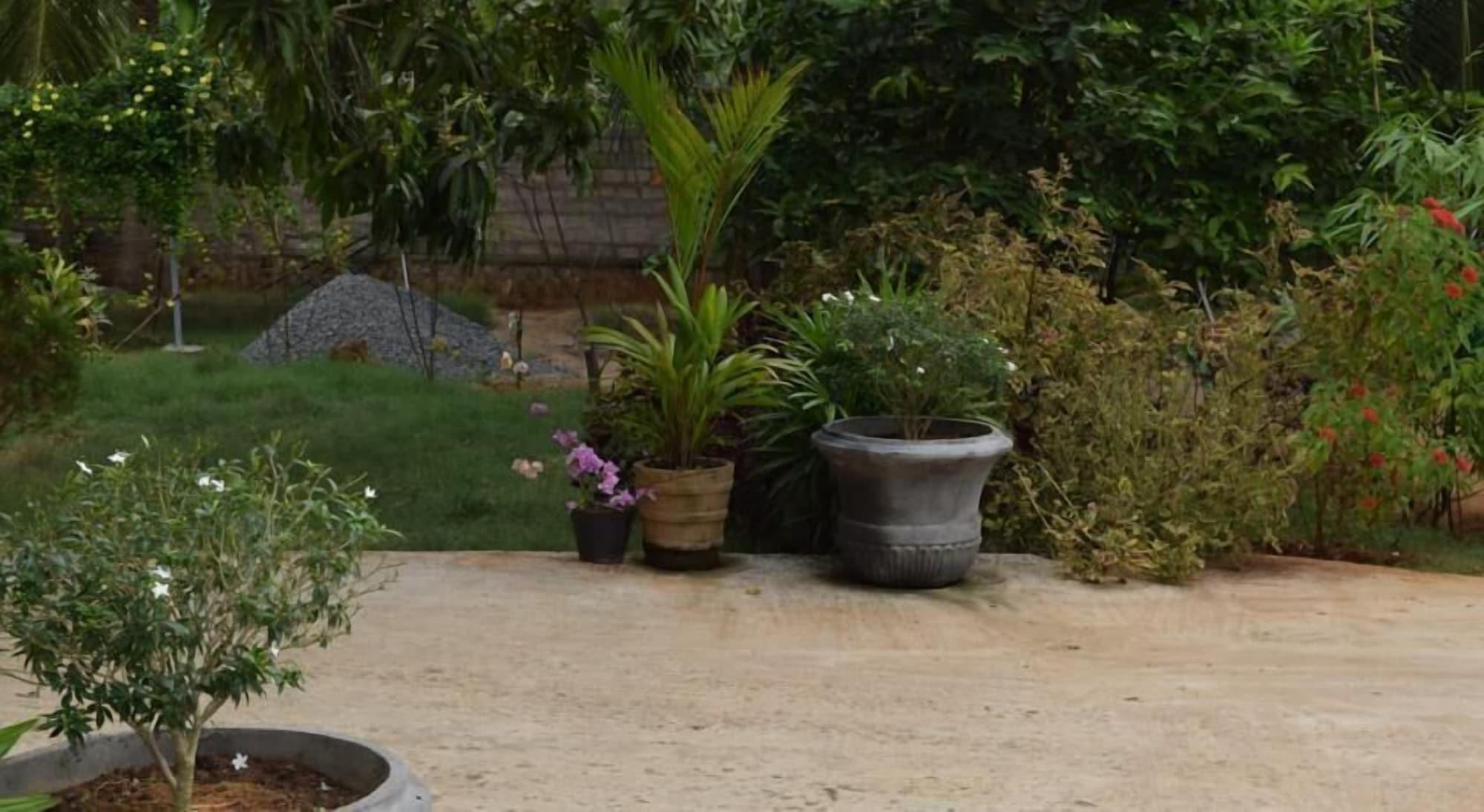 Comodidades del Alojamiento The Coconut Garden Hotel & Restaurant
