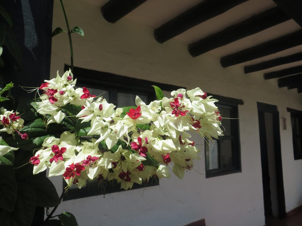 Varios Hotel Los Aceitunos