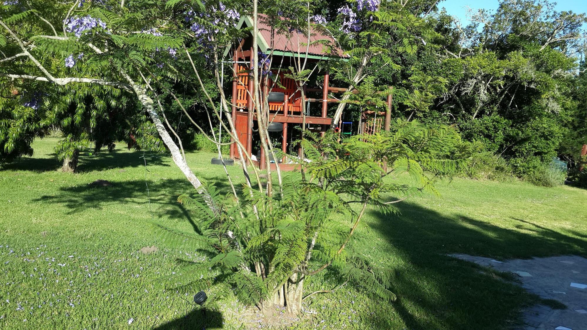 Instalaciones Recreativas Teniqua Treetops