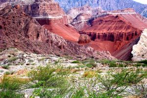 Actividad - Combo: Tour en Cafayate + Cachi + Humahuaca + Traslado de llegada y salida + Walking Tour gratis
