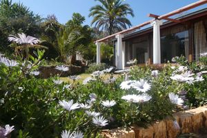 Alojamiento - The Village Inn Hotel