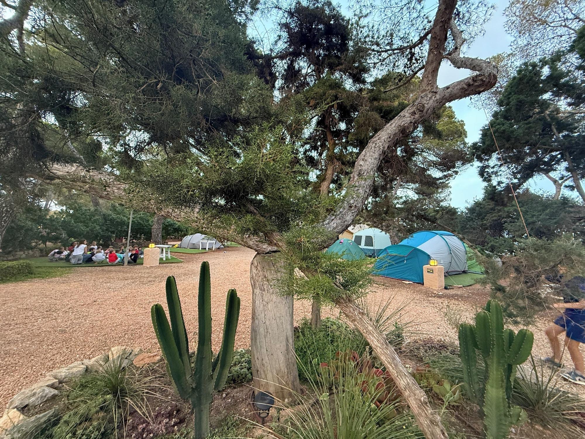 Comodidades del Alojamiento Camping Laplaya Ibiza