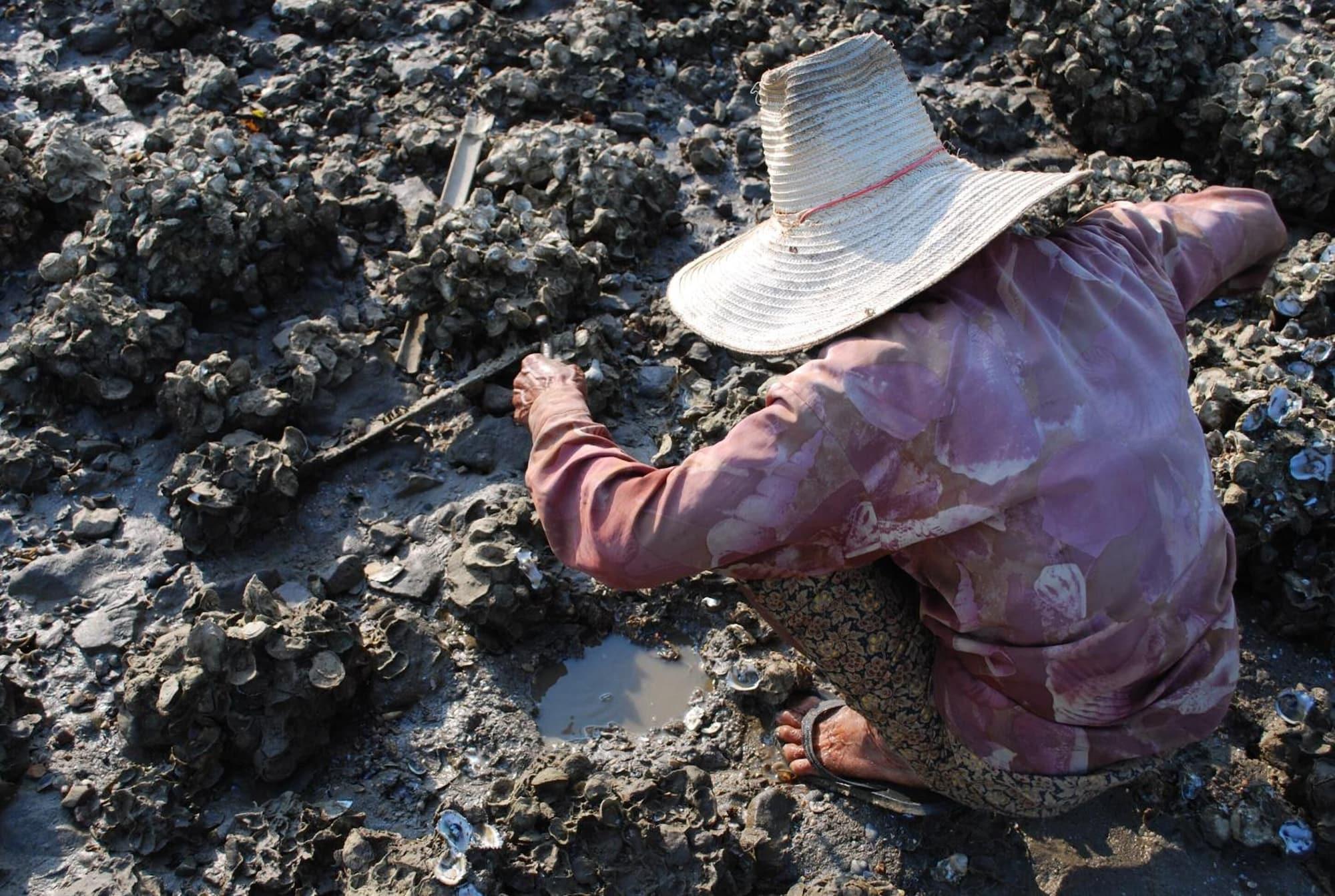 Gimnasio Salsa Hostel