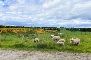 Alquiler Vacacional - Deveron Valley Cottages