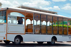 Actividad - Tranvía Promoción