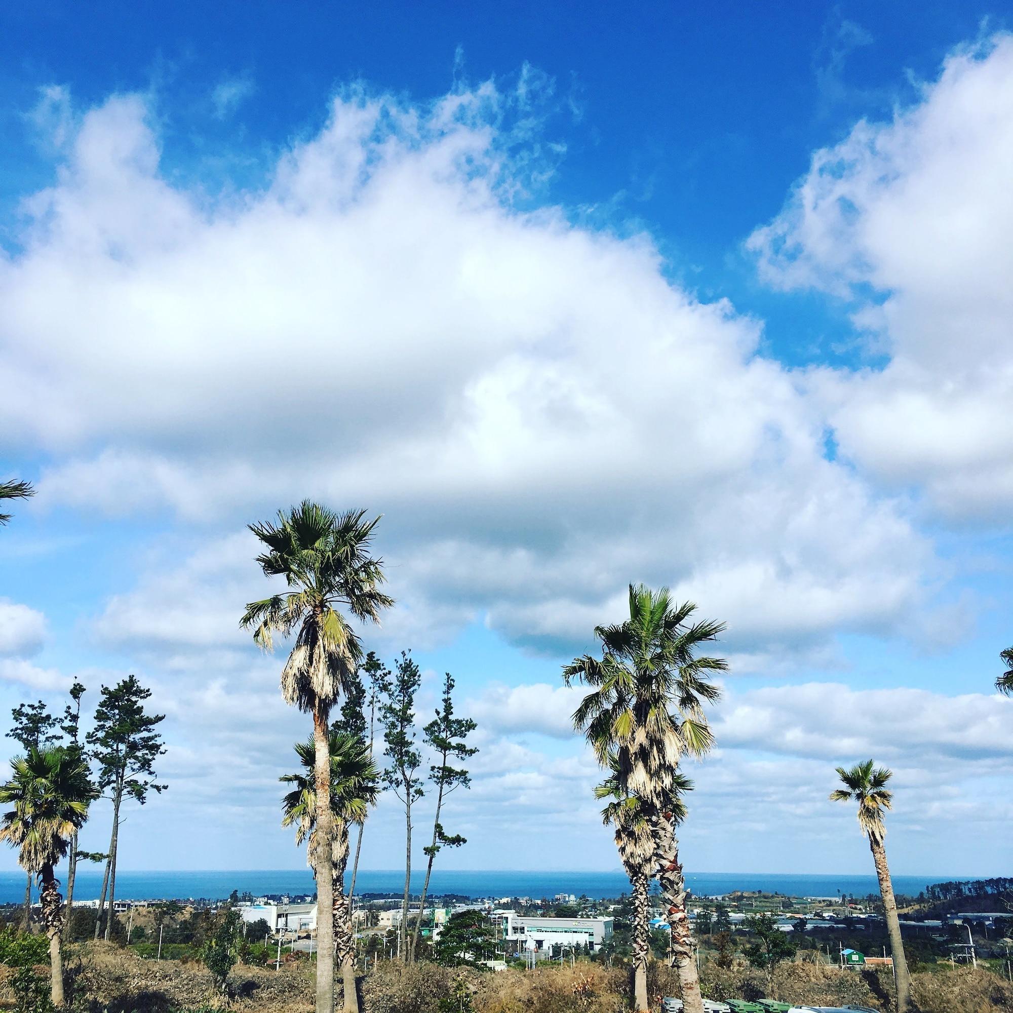 Varios Jejuhanibaram