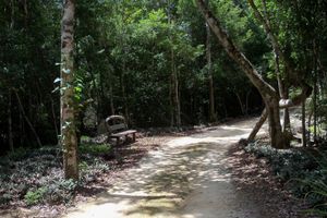 Alquiler Vacacional - Casita Milagros - A Jungle Tree House