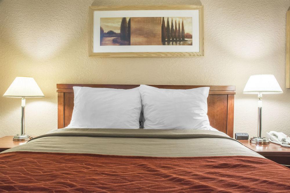 Habitación Comfort Inn London