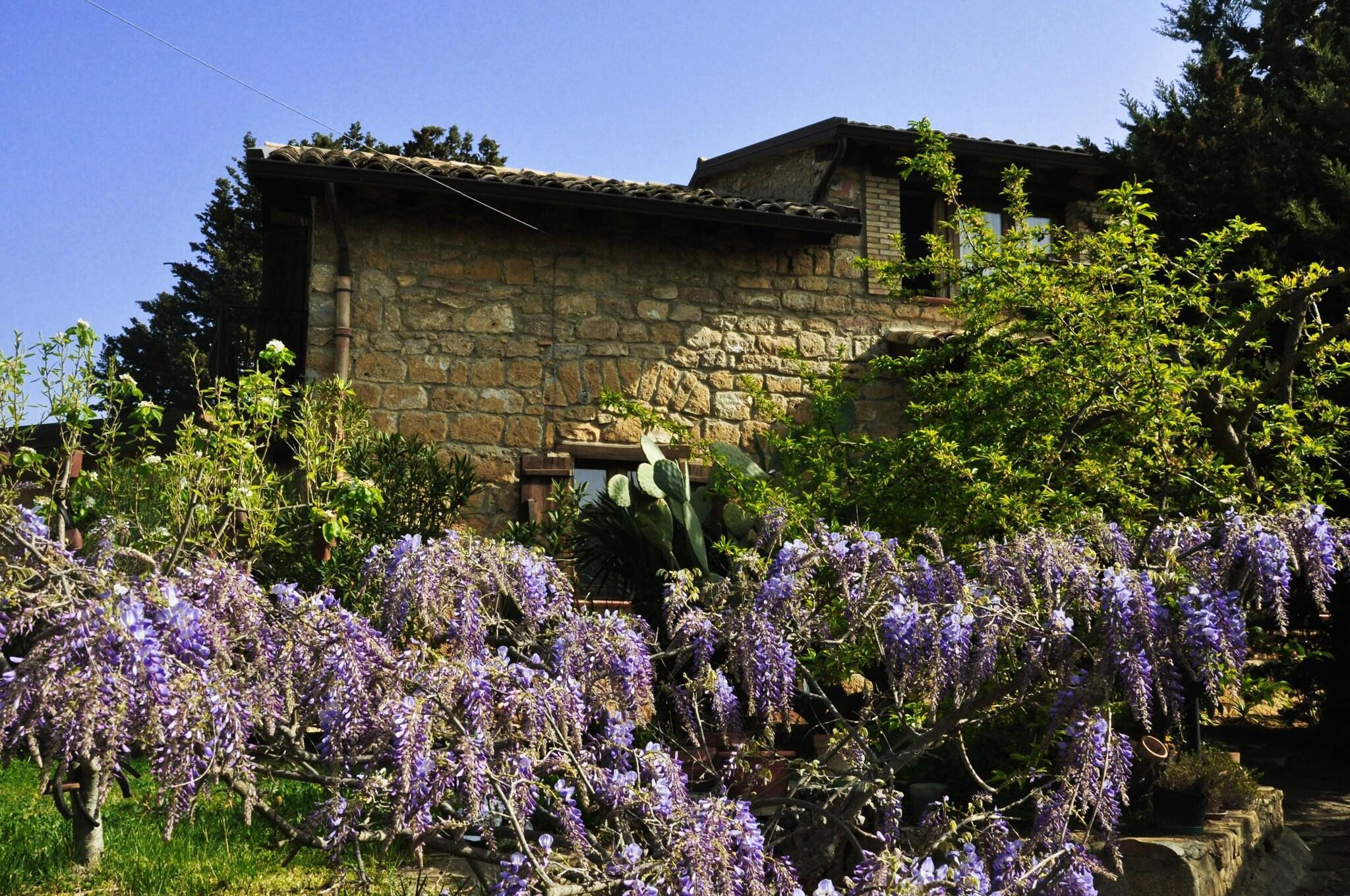 Varios La Casa sulla Collina d'Oro