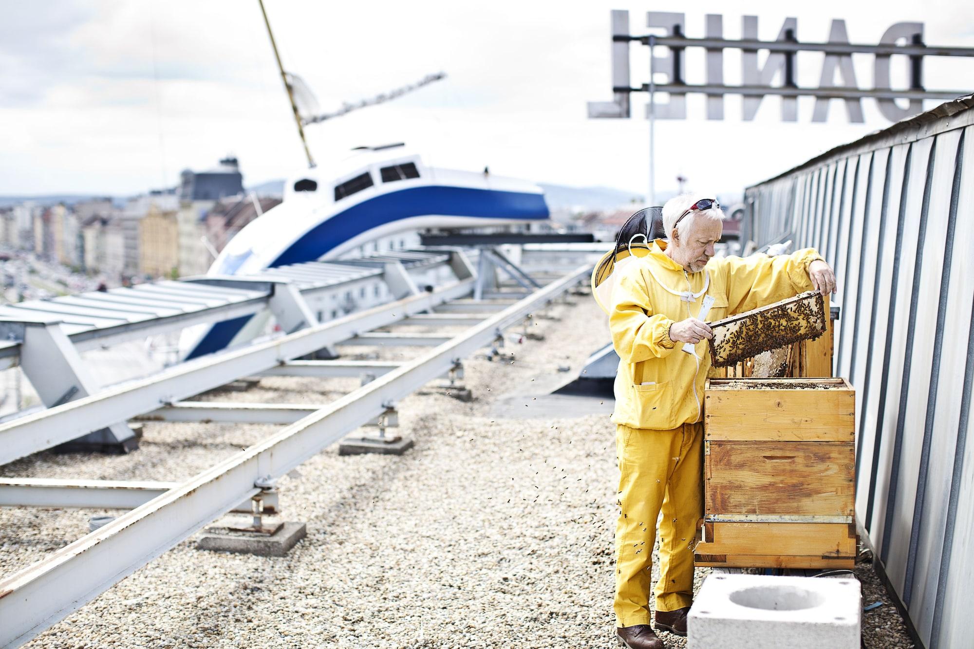 Vista Exterior Hotel Daniel Vienna