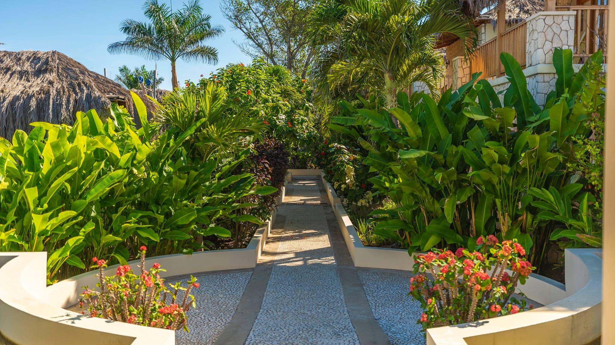 Vista Exterior Ocean Cliff Hotel Negril