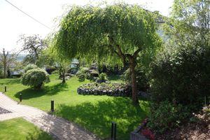 Alojamiento - Speedys Gästehaus