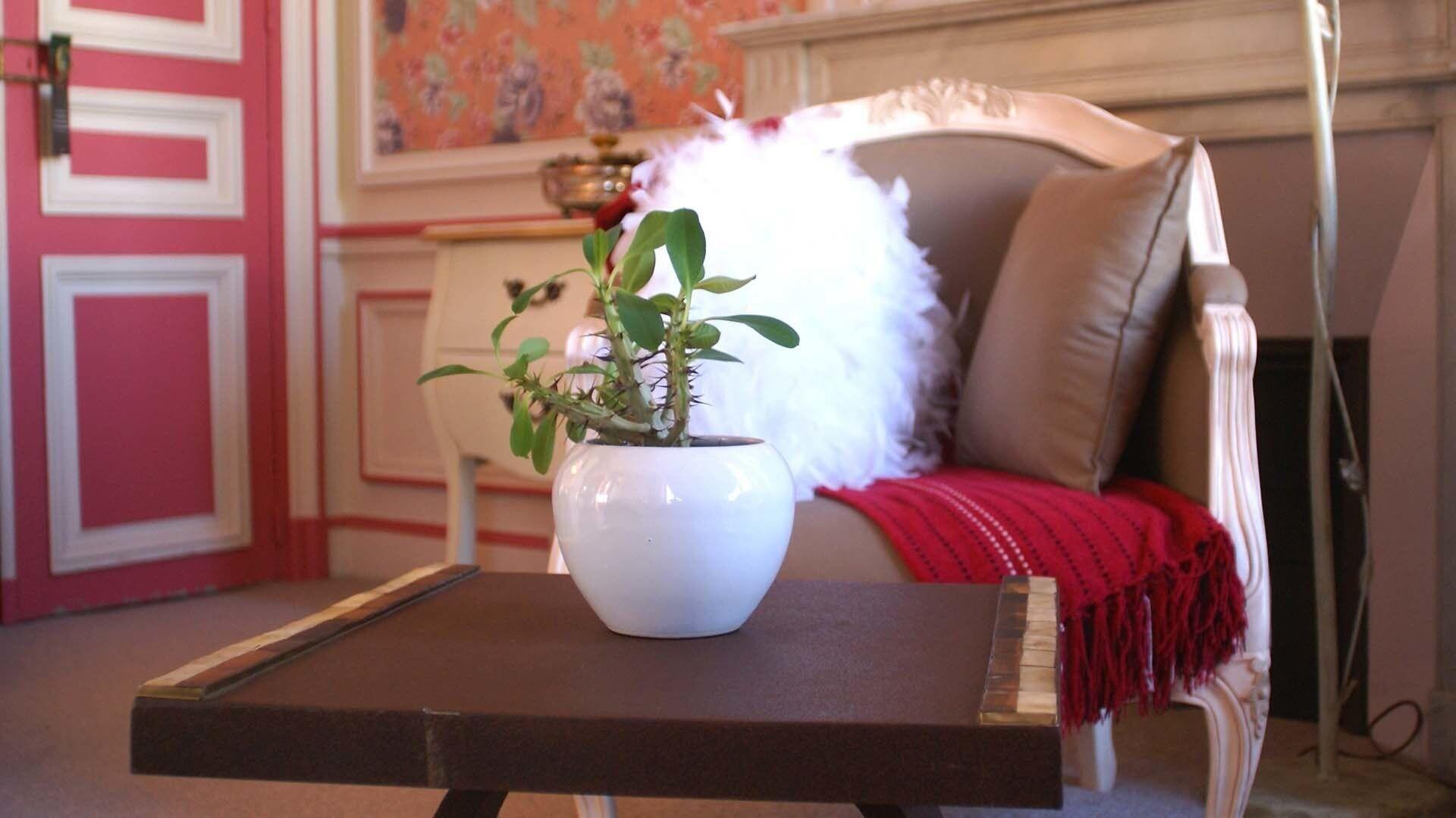 Set de Habitación La Gourmandine