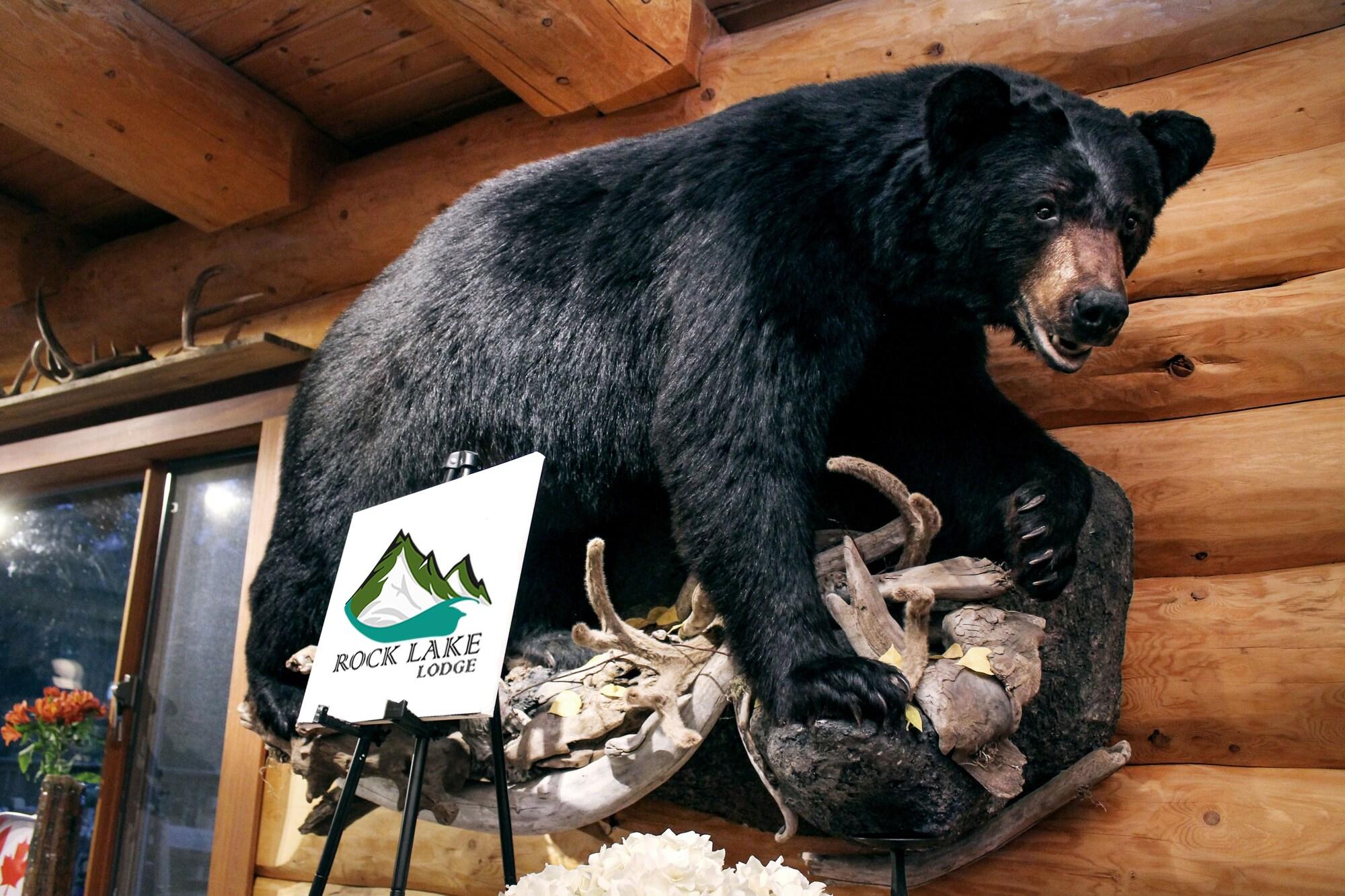 Vista Lobby Rock Lake Lodge