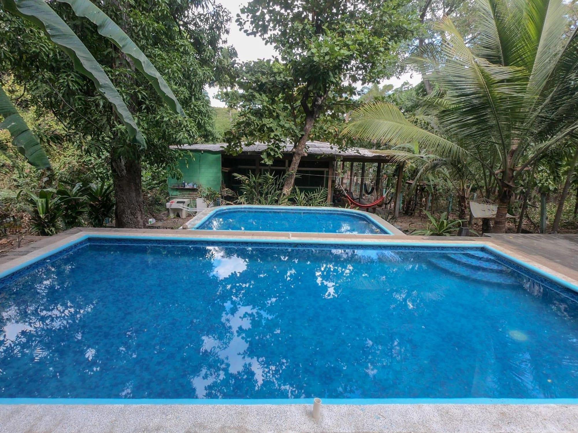 Vista Piscina Hammock Plantation - Hostel