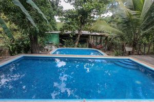 Alojamiento - Hammock Plantation - Hostel