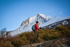 Actividad - Trekking en el Parque Nacional Torres del Paine - Tour de un día entero