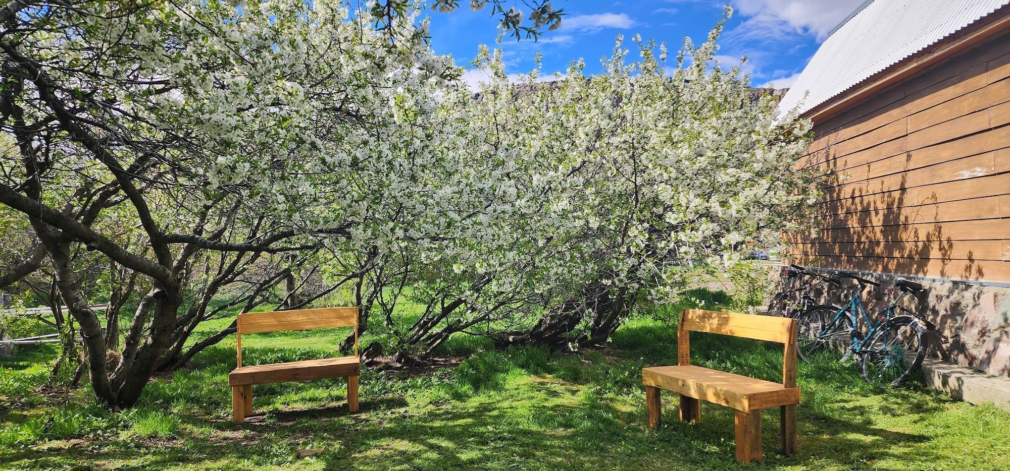 Equipamiento de Habitación Hostel del Lago