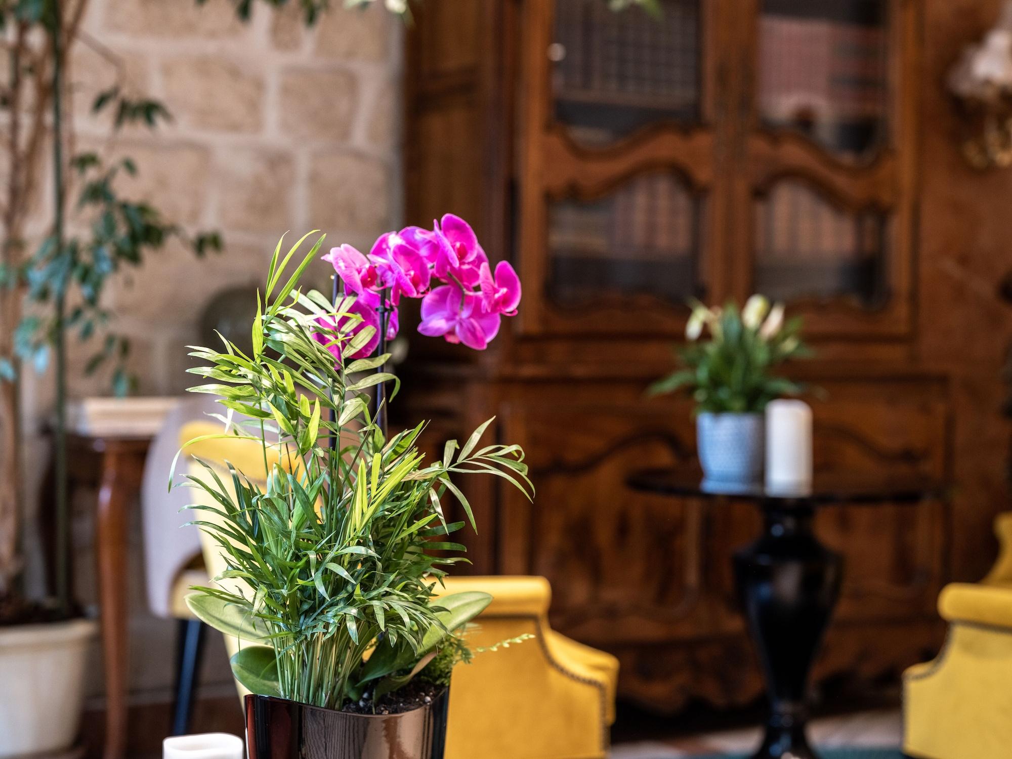 Vista Lobby Hôtel Minerve Paris