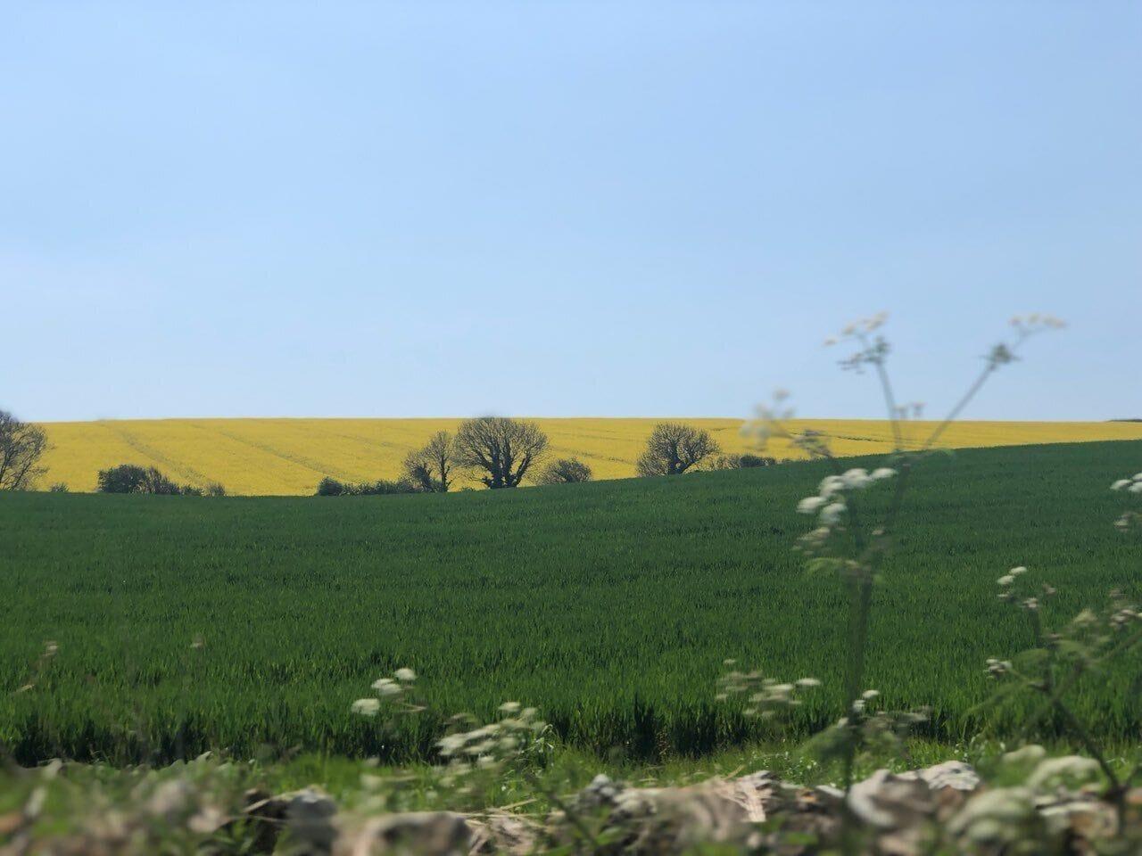 Comodidades del Alojamiento Clare Cottage