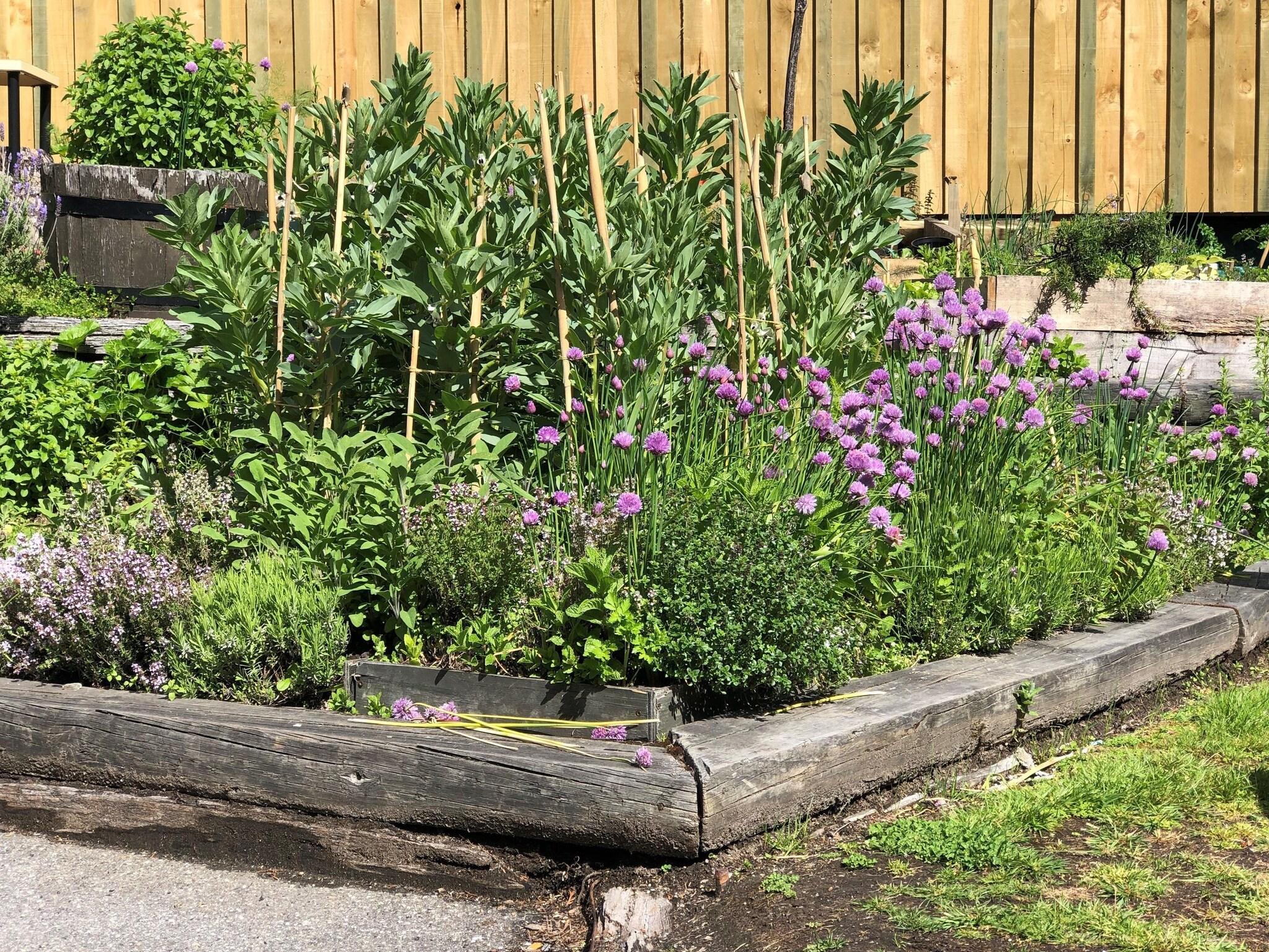 Varios Blue Peaks Apartments