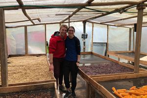 Actividad - Visita a una finca cafetera de Salento con almuerzo - Tour a pie de medio día