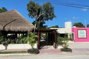 Blue Palm Bacalar