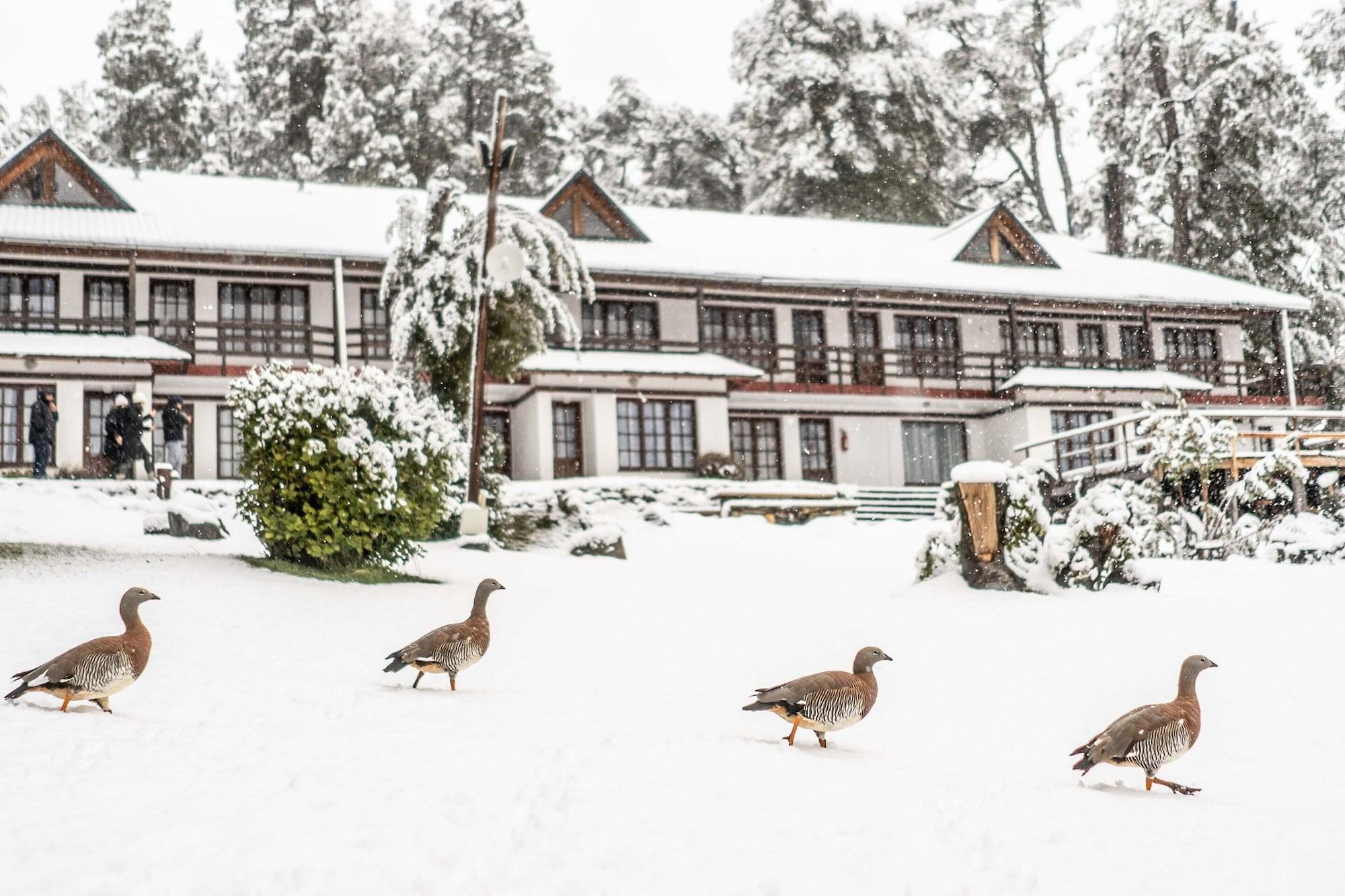 Varios Casa del Lago