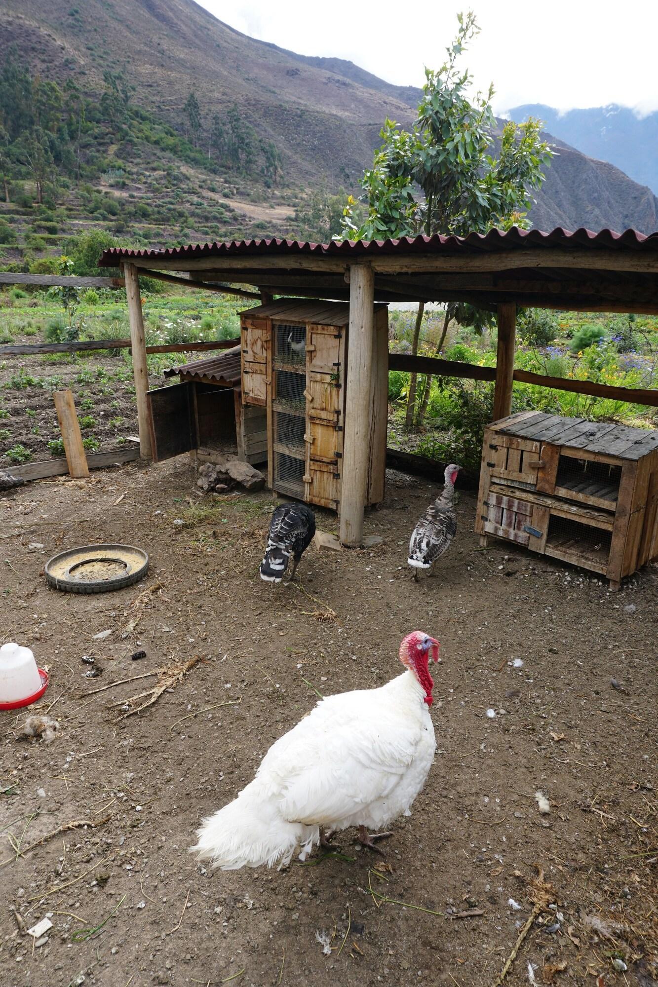 Varios El Albergue Ollantaytambo