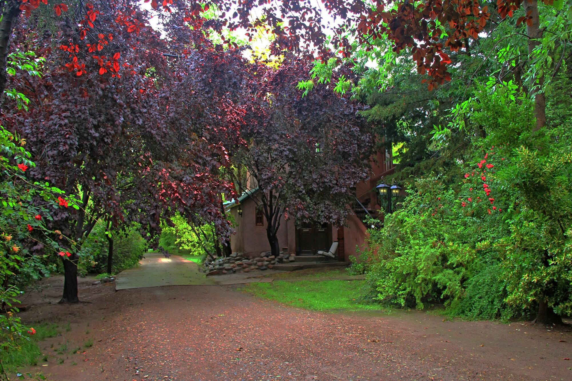 Habitación Casa Glebinias Hotel Jardin