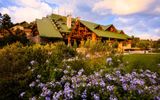 Disney's Wilderness Lodge