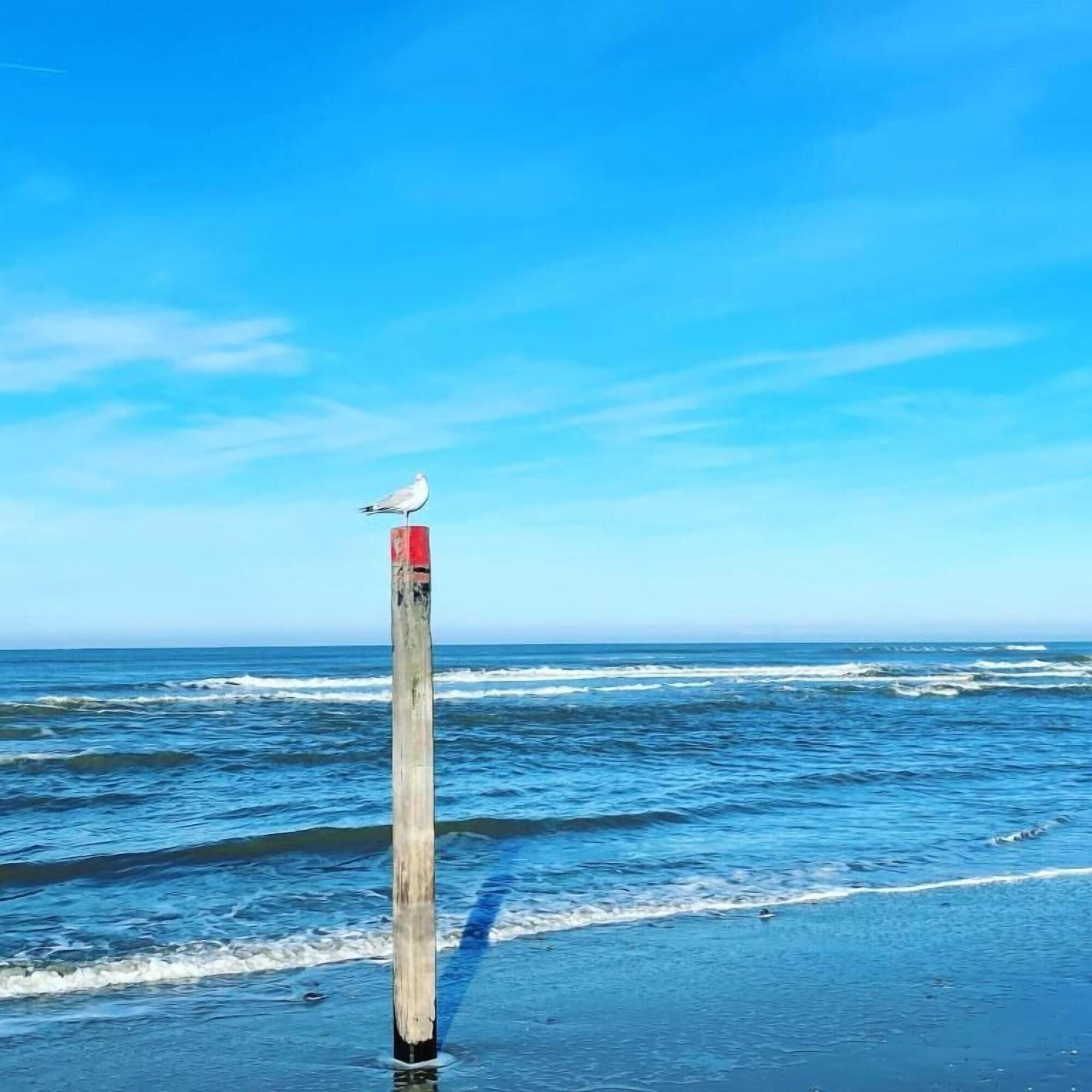 Playa Zeerust
