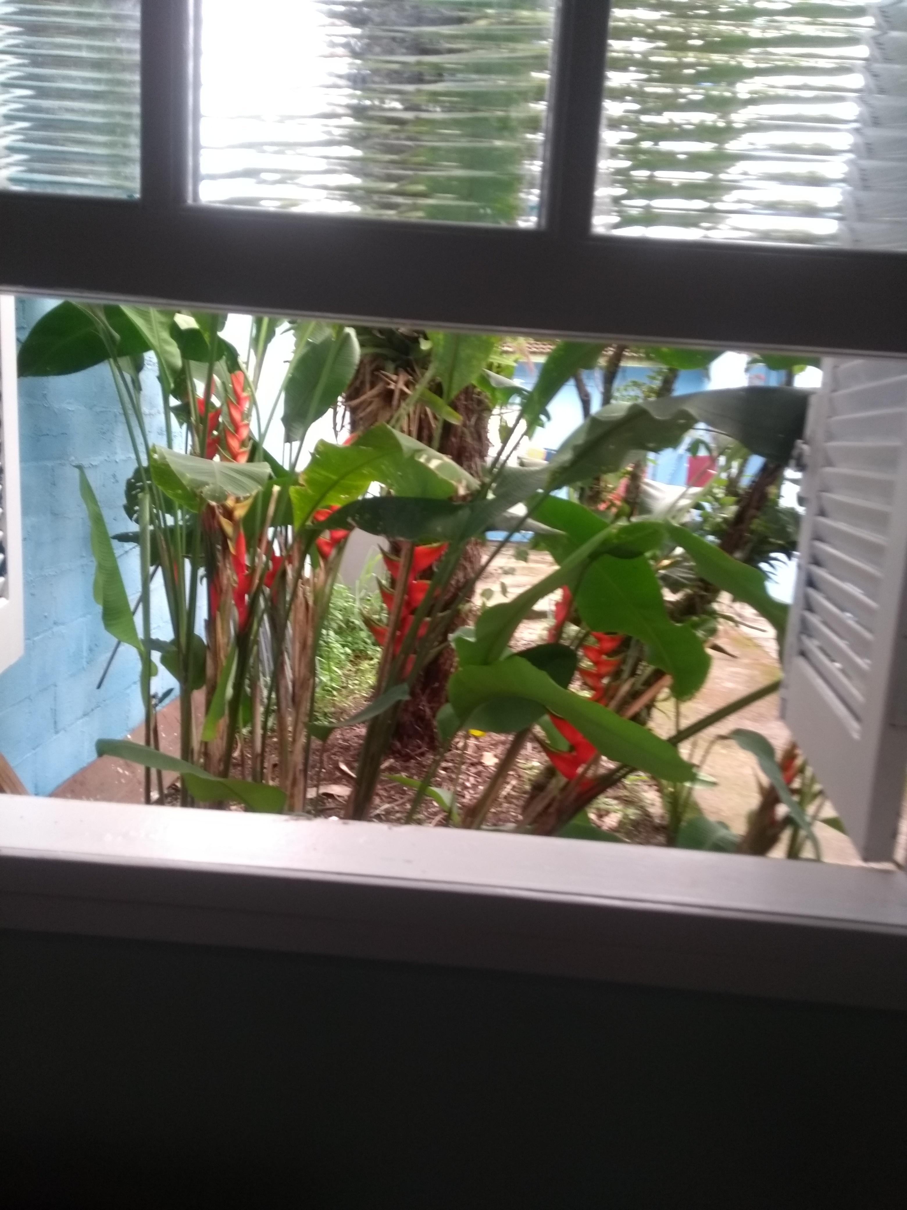 Equipamiento de Habitación Casa de Mainha Hostel Ubatuba