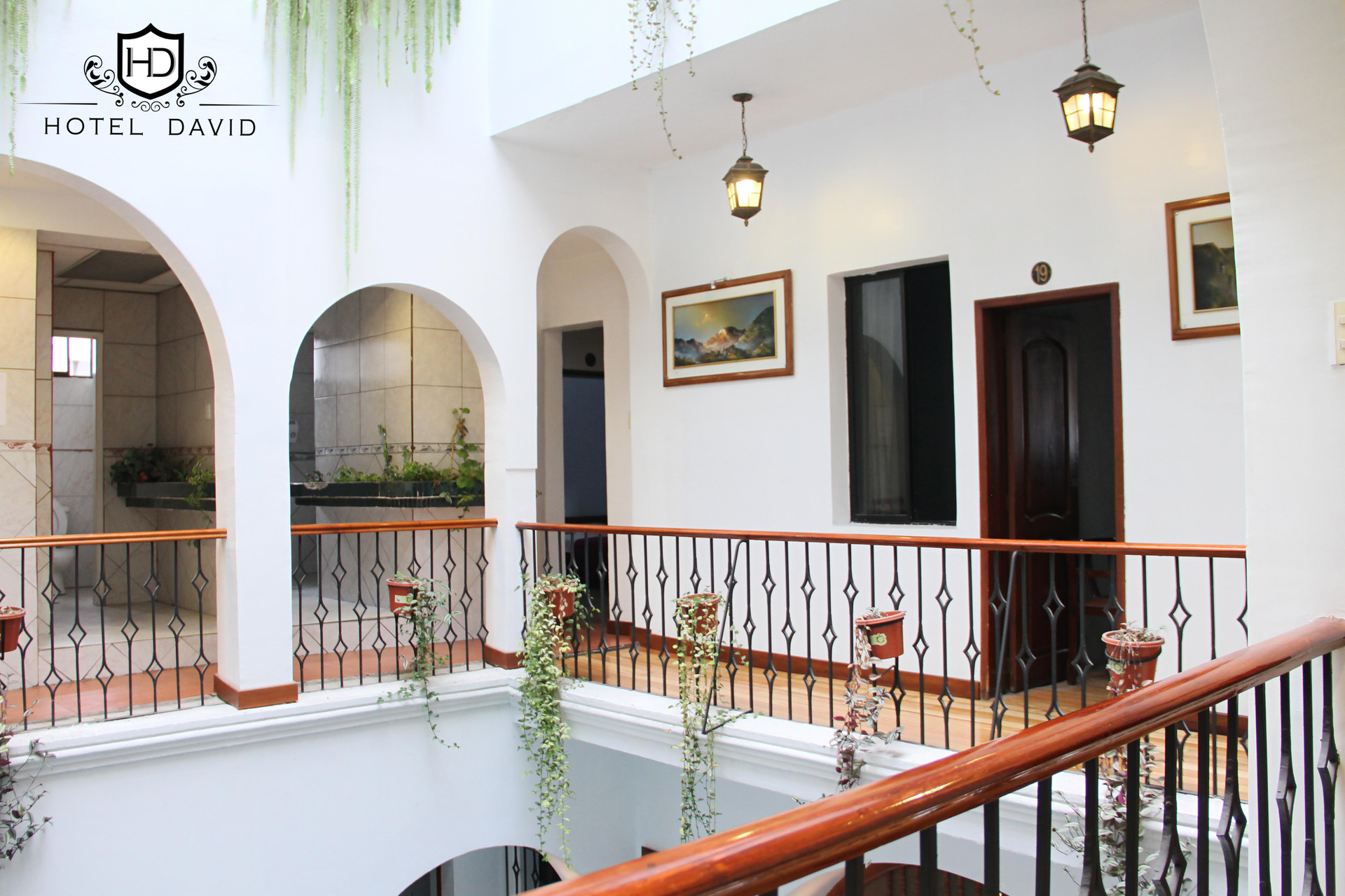 Comodidades del Alojamiento Hotel David