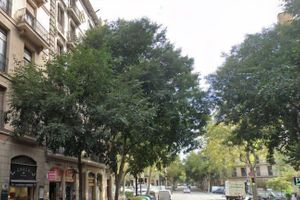 Alojamiento - Hostal Laia by gaiarooms