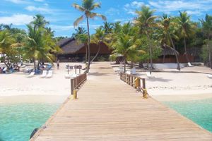 Actividad - Snorkel en Catalina desde Punta Cana