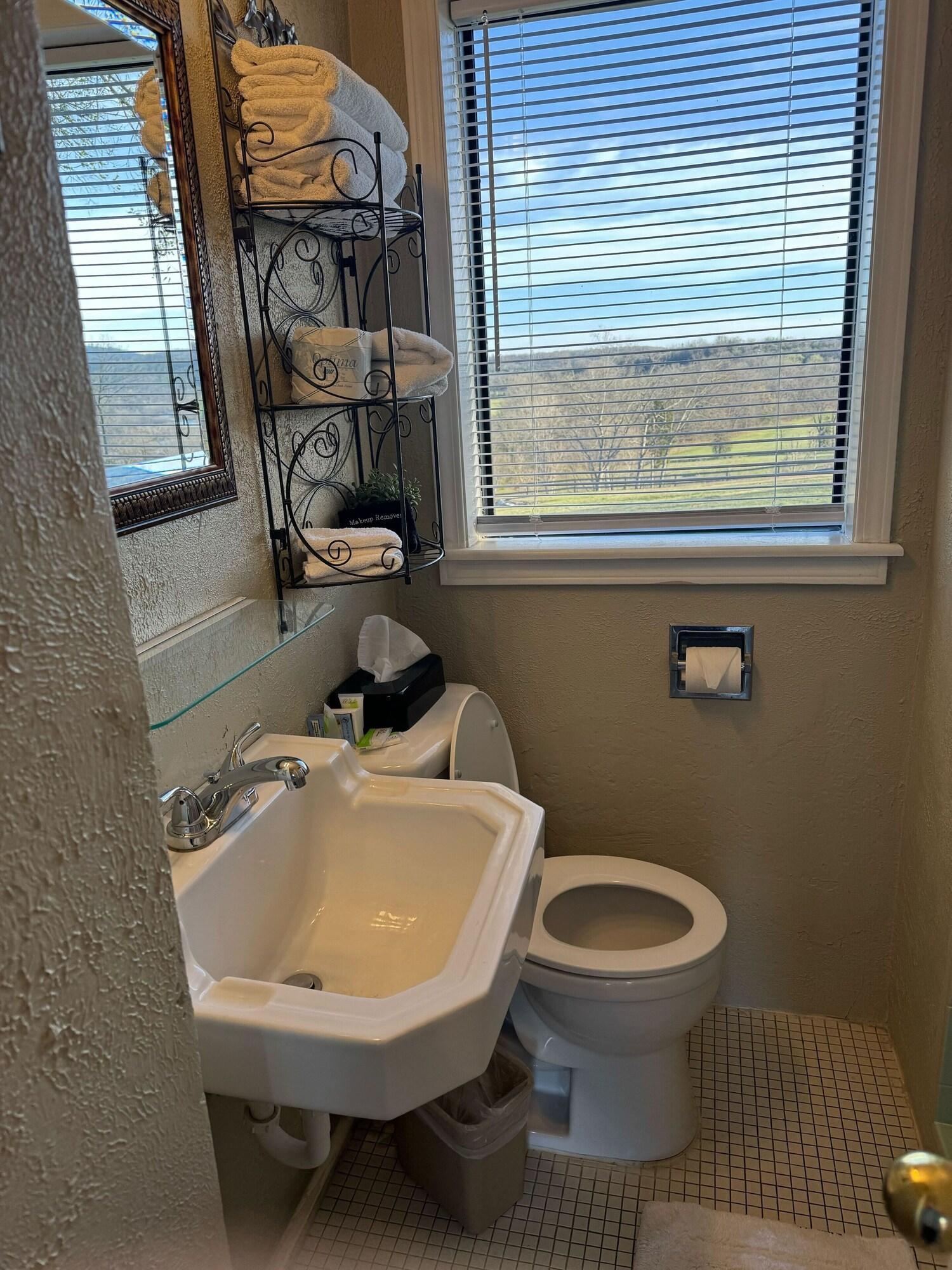 Equipamiento de Habitación Carlton Marion Inn