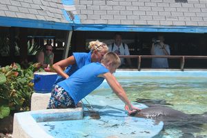 Actividad - El Sea Aquarium y la playa Seaquarium – Tour de un día entero