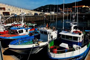Actividad - Santoña: Fábrica de Anchoas y Paseo en Barco