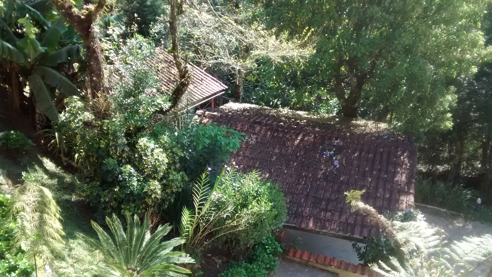 Varios Anjos de Mauá