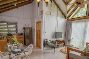 Alquiler Vacacional - Cottage / House with Pool in the mayan jungle & tree house- 2 miles from beach.