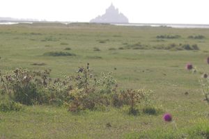 Alquiler Vacacional - La Bulle En Baie, lodging ***, calm and comfort in the Bay of Mont Saint Michel